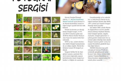 17. Mersin Uluslararası Müzik Festivali