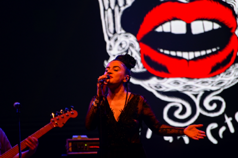 Ceylan Ertem’den Coşkulu Konser