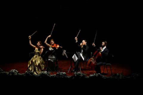 Die Wiener Strauss Company