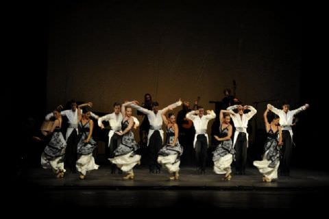 Festival Kitapçığı ve Fotoğraflar